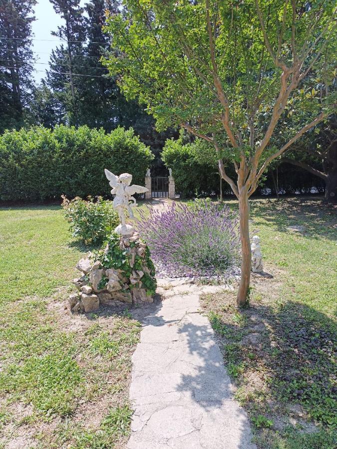 Villa A L'Ombre De L'Olivier à Orgon Extérieur photo